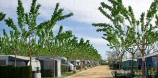 Camping La Aldea met uitstekende faciliteiten Camping La Aldea met uitstekende faciliteiten