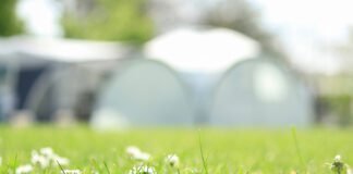 Camping Pergama Landjuweel: kamperen met boerderijbeleving Camping Pergama Landjuweel: kamperen met boerderijbeleving