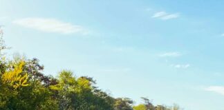 Camping Mellbystrands kamperen met topfaciliteiten Camping Mellbystrands kamperen met topfaciliteiten