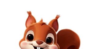 Bookamper.com – Ontdek de vrijheid van authentiek kamperen Ontdek de vrijheid van authentiek kamperen