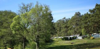 Wurlsee Camping Lychen: kamperen in de natuur aan de Wurlsee Wurlsee Camping Lychen: kamperen in de natuur aan de Wurlsee