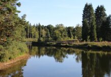 Kamperen in Overijssel: een ideale vakantie in de natuur Kamperen in Overijssel: een ideale vakantie in de natuur