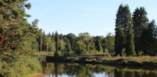 Kamperen in Overijssel: een ideale vakantie in de natuur Kamperen in Overijssel: een ideale vakantie in de natuur