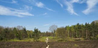 Kabinet draait geldkraan dicht voor nationale parken Kabinet draait geldkraan dicht voor nationale parken
