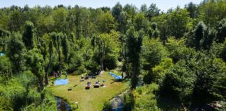 Kamperen in Het Belevenissenbos: avontuur dicht bij huis Kamperen in Het Belevenissenbos: avontuur dicht bij huis