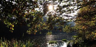 Kamperen in Brabant: natuur, rust en gezelligheid Kamperen in Brabant: natuur, rust en gezelligheid