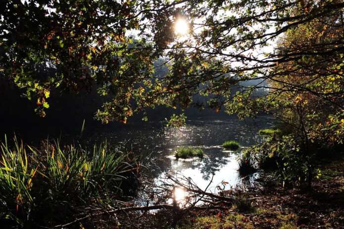 Kamperen in Brabant: natuur, rust en gezelligheid Kamperen in Brabant: natuur, rust en gezelligheid