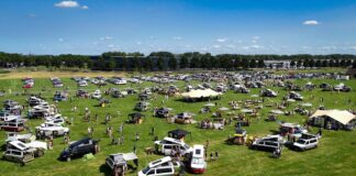 Eventje ’25: het grootste camperbusfestival van Nederland Eventje '25: het grootste camperbusfestival van Nederland