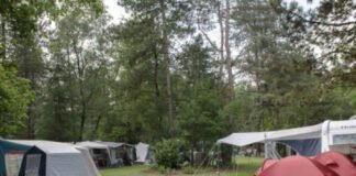 Genieten van rust en natuur bij Camping Distelloo Genieten van rust en natuur bij Camping Distelloo