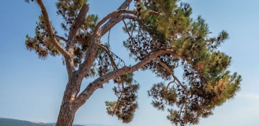 De vijf mooiste kampeerbestemmingen van Kroatië De vijf mooiste kampeerbestemmingen van Kroatië