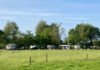 Kamperen in de natuur bij Camping De Veldmeijer Kamperen in de natuur bij Camping De Veldmeijer