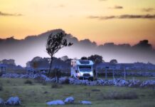 Småland zet vol in op de Nederlandse kampeerder Småland zet vol in op de Nederlandse kampeerder