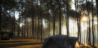 Off-grid kamp als dé trend van 2025 Off-grid kamp als dé trend van 2025