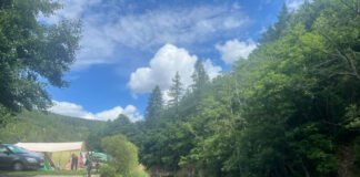 Camp Hammer in de Eifel: camping vol natuur en sterren Camp Hammer in de Eifel: camping vol natuur en sterren