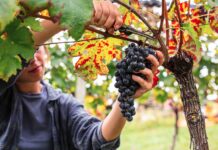 De beste tips voor een roadtrip naar Kroatië in de herfst De beste tips voor een roadtrip naar Kroatië in de herfst