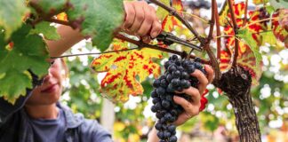 De beste tips voor een roadtrip naar Kroatië in de herfst De beste tips voor een roadtrip naar Kroatië in de herfst