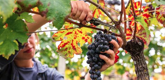 De beste tips voor een roadtrip naar Kroatië in de herfst De beste tips voor een roadtrip naar Kroatië in de herfst
