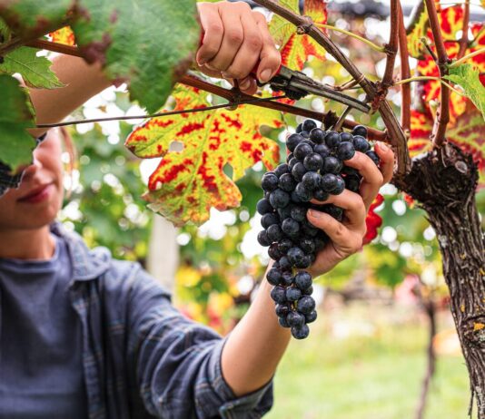 De beste tips voor een roadtrip naar Kroatië in de herfst De beste tips voor een roadtrip naar Kroatië in de herfst