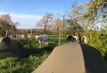 Kampeerplekjes voor trage reizigers, bij mensen in de tuin Welcome To My Garden