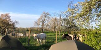 Kampeerplekjes voor trage reizigers, bij mensen in de tuin Welcome To My Garden