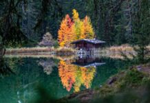 Wandel door de kleurrijke herfst van de Tiroler Zugspitz Arena Wandel door de kleurrijke herfst van de Tiroler Zugspitz Arena