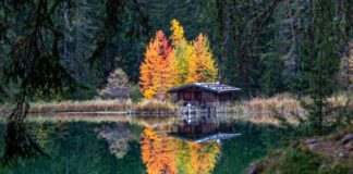 Wandel door de kleurrijke herfst van de Tiroler Zugspitz Arena Wandel door de kleurrijke herfst van de Tiroler Zugspitz Arena