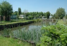 Camping Canteclaer: een natuurrijke camping Camping Canteclaer: een natuurrijke camping