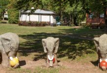 Campingpark Eisenach: kamperen in Thüringen’s natuurschoon Campingpark Eisenach: kamperen in Thüringen’s natuurschoon