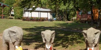 Campingpark Eisenach: kamperen in Thüringen’s natuurschoon Campingpark Eisenach: kamperen in Thüringen’s natuurschoon