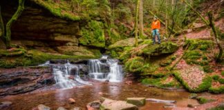 Herfstwandelen & wellness in het Noordelijke Zwarte Woud Herfstwandelen & wellness in het Noordelijke Zwarte Woud