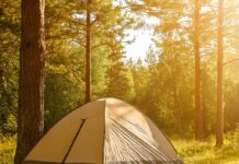 Wat kampeerders écht willen weten Wat kampeerders écht willen weten