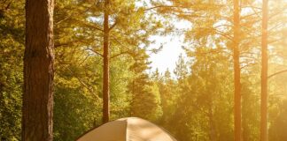 Wat kampeerders écht willen weten Wat kampeerders écht willen weten