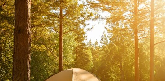 Wat kampeerders écht willen weten Wat kampeerders écht willen weten