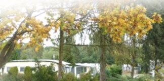 Camping Niegripper Lake: idyllisch kamperen bij het meer Vakantiepark Aqua Centrum aan het Veluwemeer