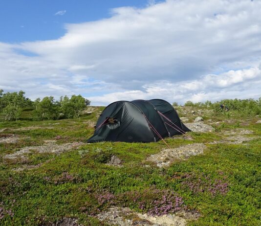 Kamperen reset letterlijk je biologische klok Kamperen reset letterlijk je biologische klok