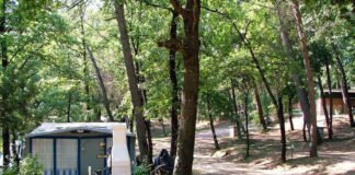 Camping Pian di Boccio: kamperen in het hart van Umbrië Camping Pian di Boccio: kamperen in het hart van Umbrië