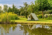 Ga op avontuur met de vernieuwde Waterfront Ga op avontuur met de vernieuwde Waterfront