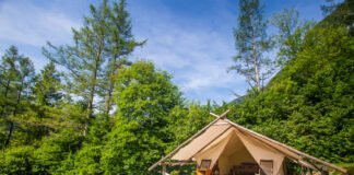 Glampings.com: Dit waren de boekingstrends van 2025 Glampings.com: Dit waren de boekingstrends van 2025