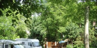 Kamperen in het groen bij Ave Natura Camping Kamperen in het groen bij Ave Natura Camping