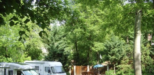 Kamperen in het groen bij Ave Natura Camping Kamperen in het groen bij Ave Natura Camping