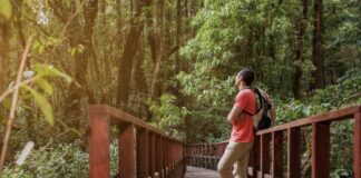 Vliegen naar de camping: wél de sfeer, niet de lange rit Vliegen naar de camping: wél de sfeer, niet de lange rit