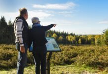 Meer wandelliefhebbers naar de Utrechtse Heuvelrug Wandelmaand trekt meer wandelliefhebbers naar de Utrechtse Heuvelrug