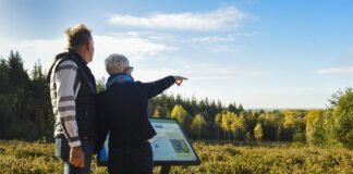 Meer wandelliefhebbers naar de Utrechtse Heuvelrug Wandelmaand trekt meer wandelliefhebbers naar de Utrechtse Heuvelrug