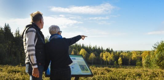 Meer wandelliefhebbers naar de Utrechtse Heuvelrug Wandelmaand trekt meer wandelliefhebbers naar de Utrechtse Heuvelrug