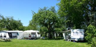 Camping De Boogaard, rust, natuur en waterplezier aan de IJssel Camping De Boogaard, rust, natuur en waterplezier aan de IJssel