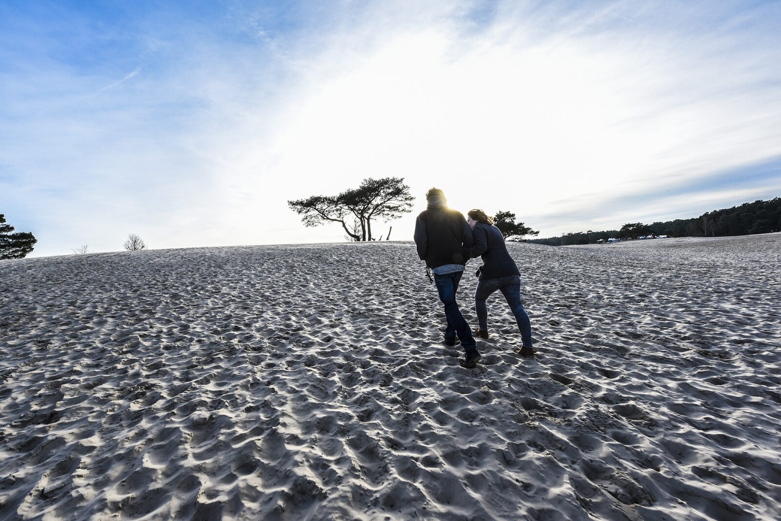 Winter op de Heuvelrug - Soesterduinen