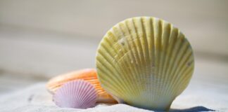 Onderzoek: AI steeds meer in trek voor maken van vakantieplannen onderzoek: AI steeds meer in trek voor maken van vakantieplannen