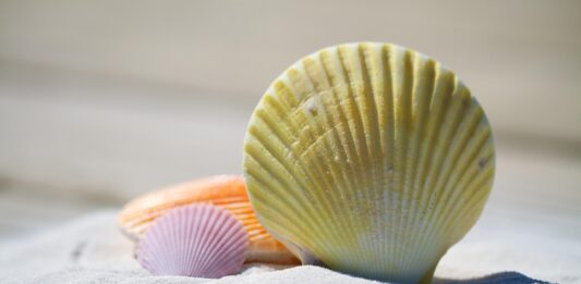 Onderzoek: AI steeds meer in trek voor maken van vakantieplannen onderzoek: AI steeds meer in trek voor maken van vakantieplannen