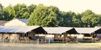 Glampen in de natuur bij Glamping Mooirust Glampen in de natuur bij Glamping Mooirust