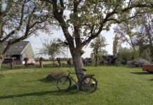 Camping de Kapberg tuin: kleinschalig kamperen in het groen Camping de Kapberg tuin: kleinschalig kamperen in het groen